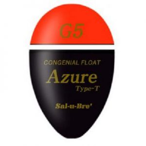 Azure Type-T
